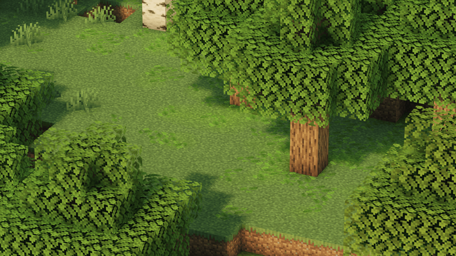Leaf Litter! With Shaders!