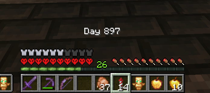 Shows the text "Day 897" above the hotbar in Minecraft, indicating the player has survived 897 days
