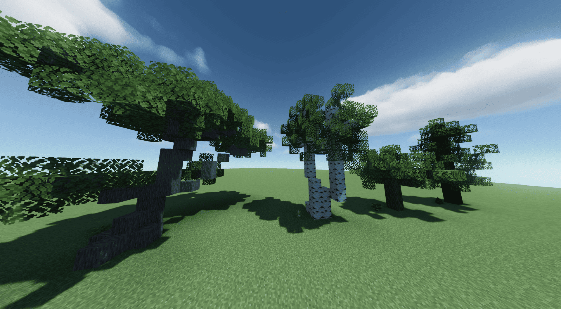 Example Trees