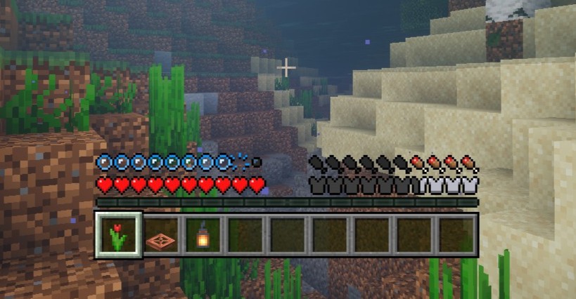 Vanilla Minecraft