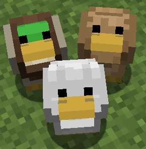All three of them