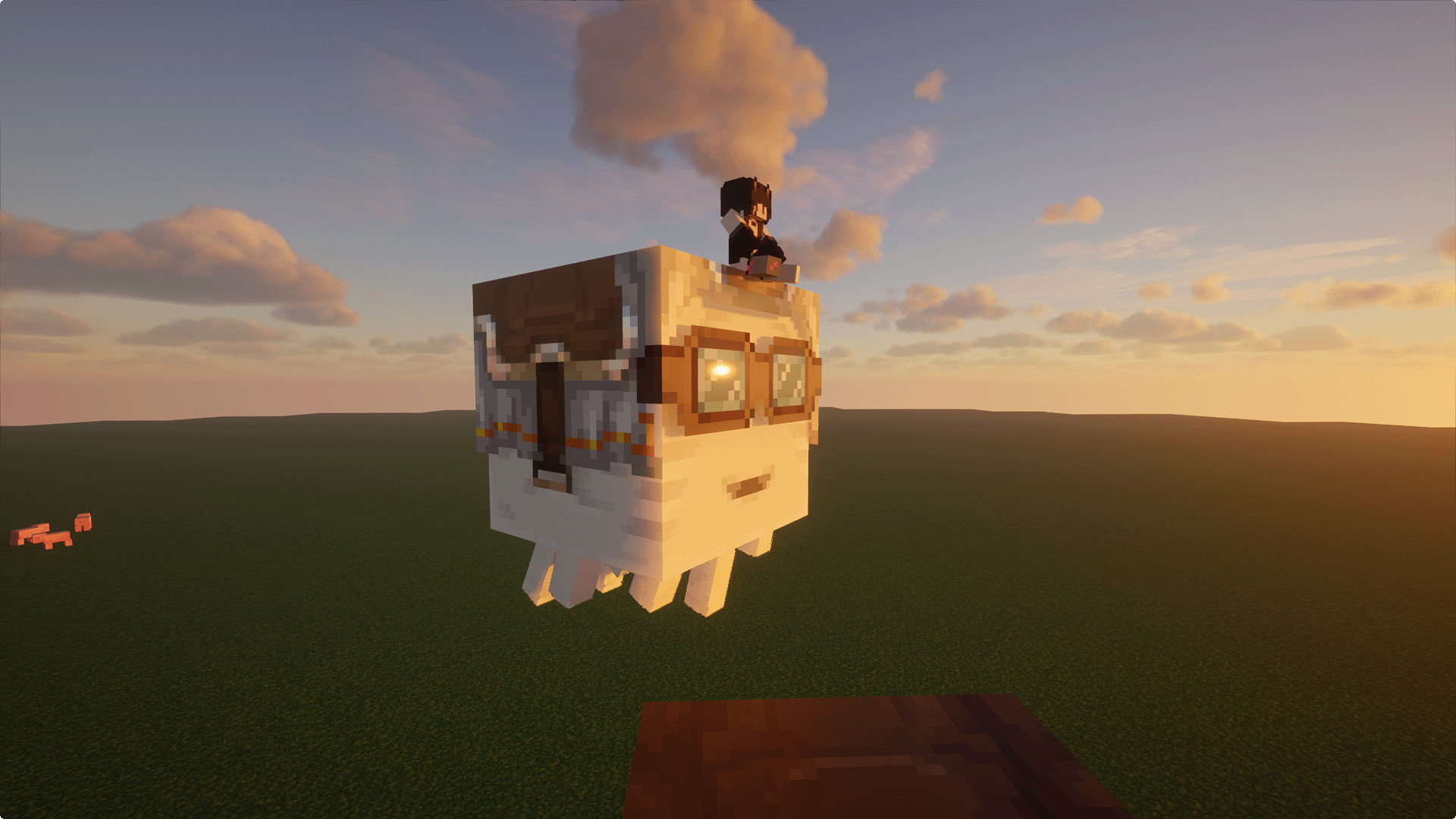 Skies