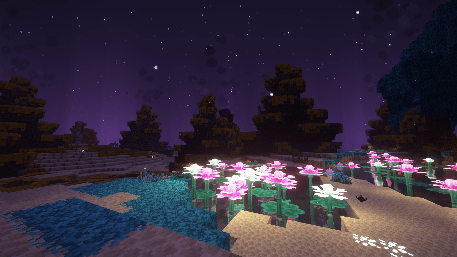 End Biome with shaders