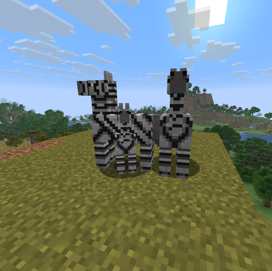 zebra