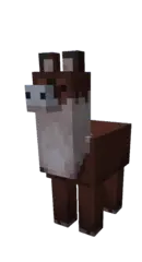 Replace this with a description