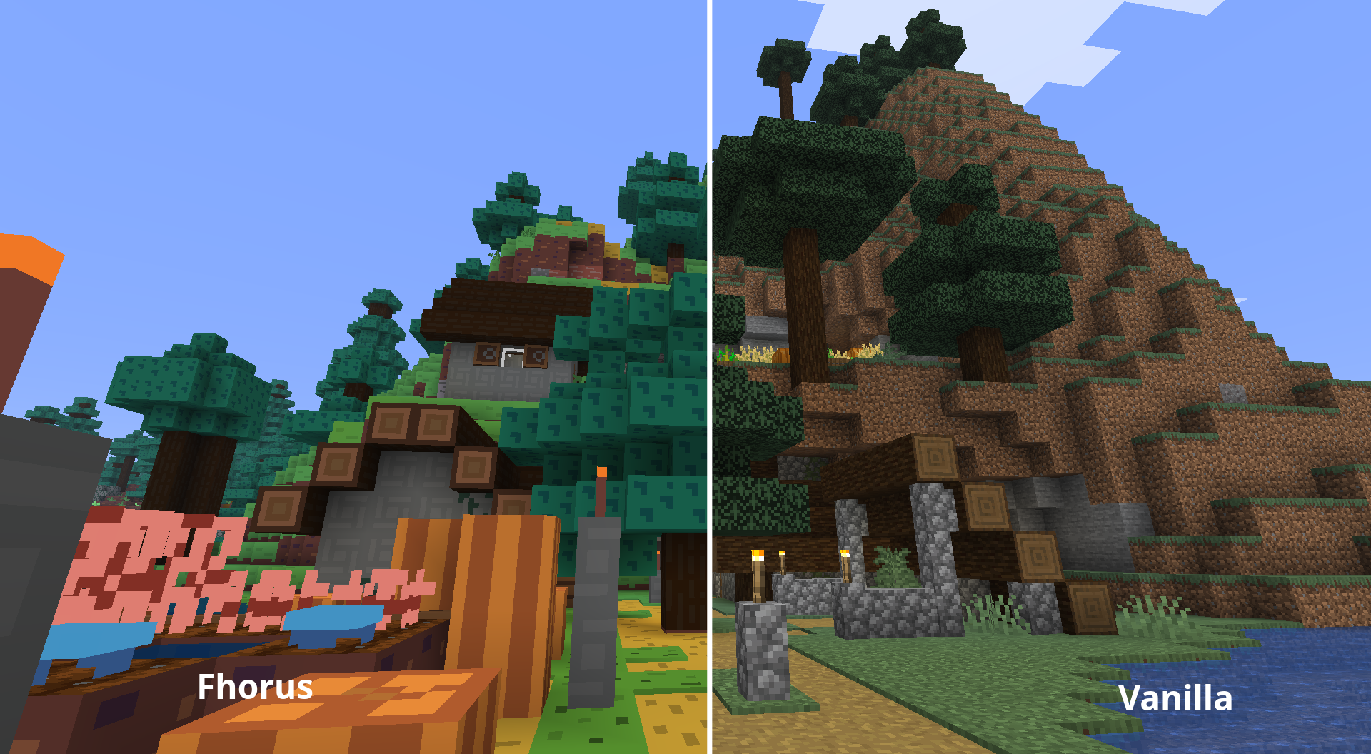 Comparison 3