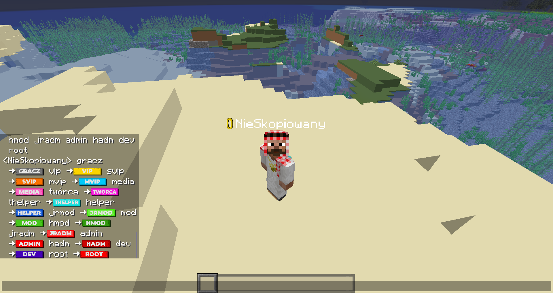 chat ranks