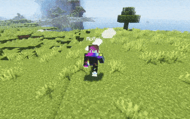 player animations