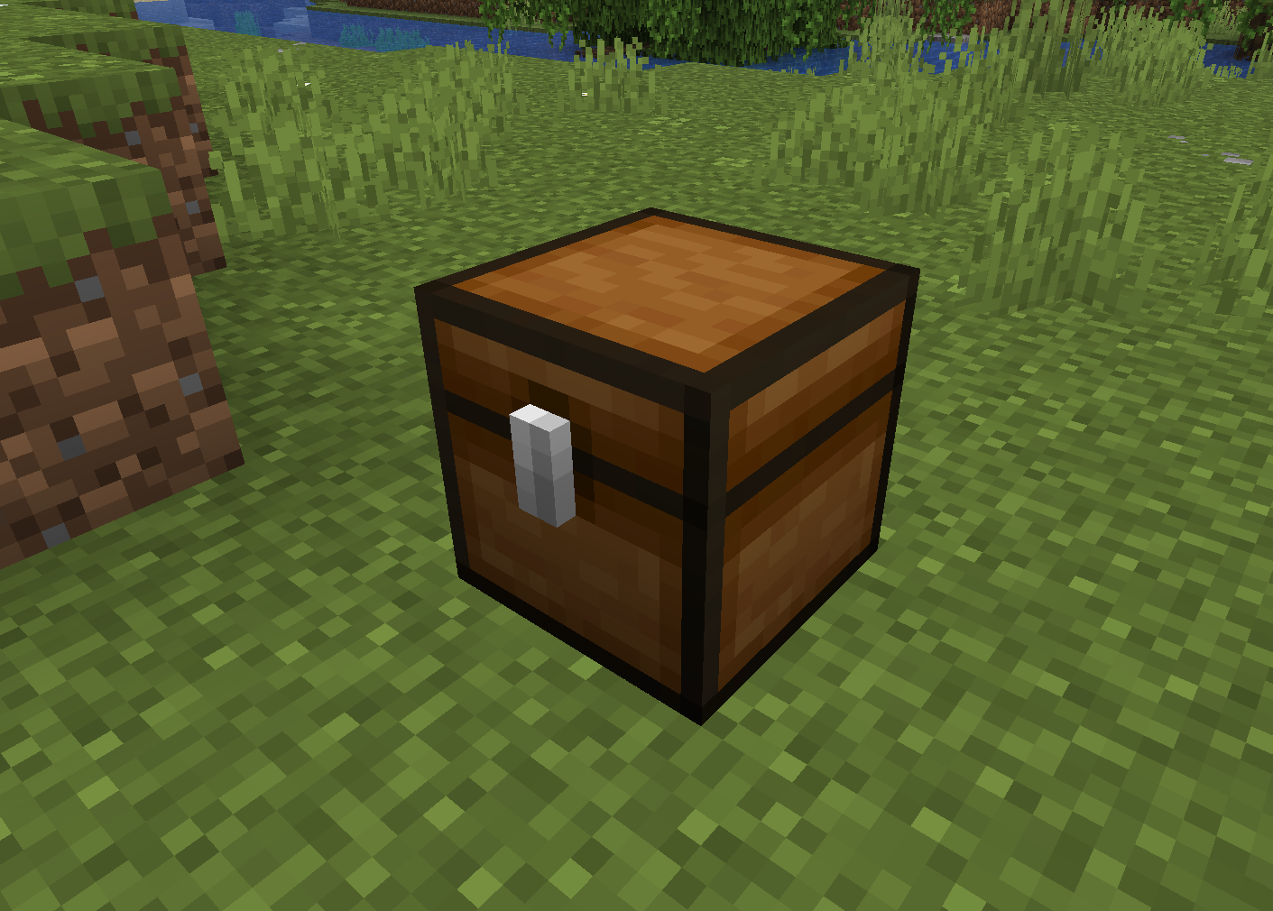 Chest