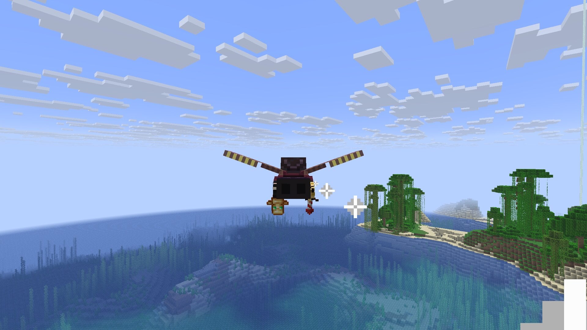 Elytra flight