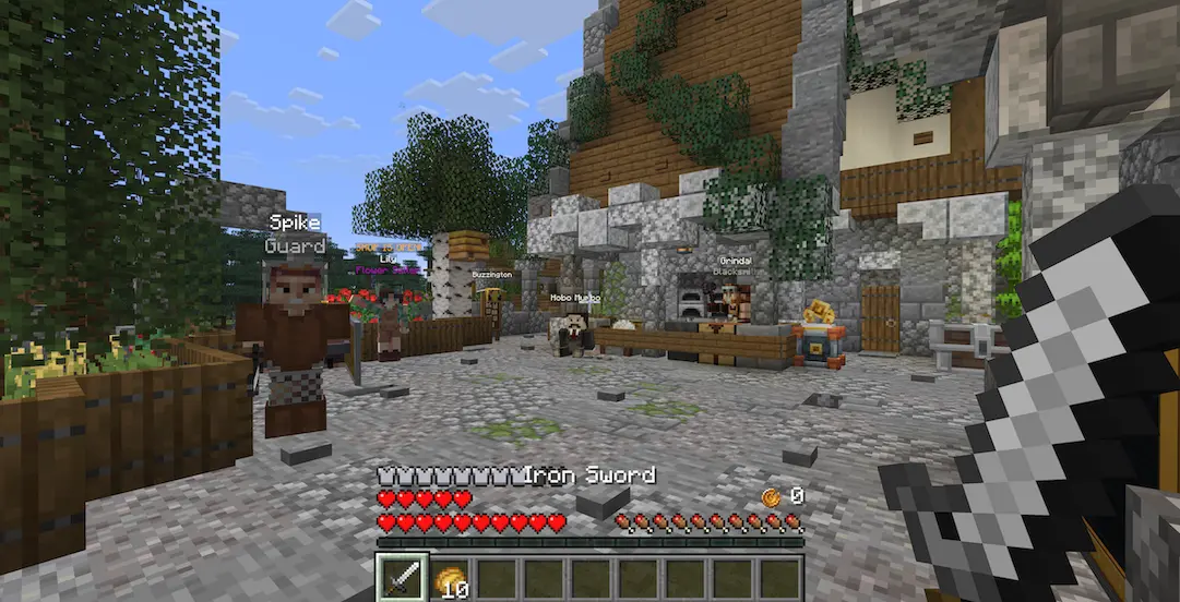 A living town of NPCs!