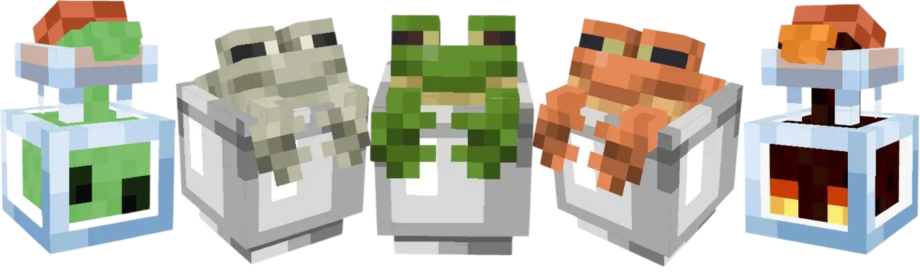 some of the models