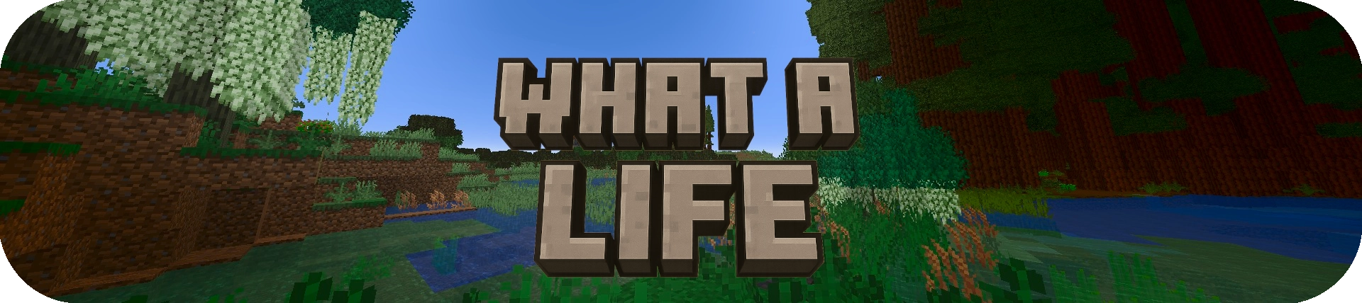 WHAT A LIFE