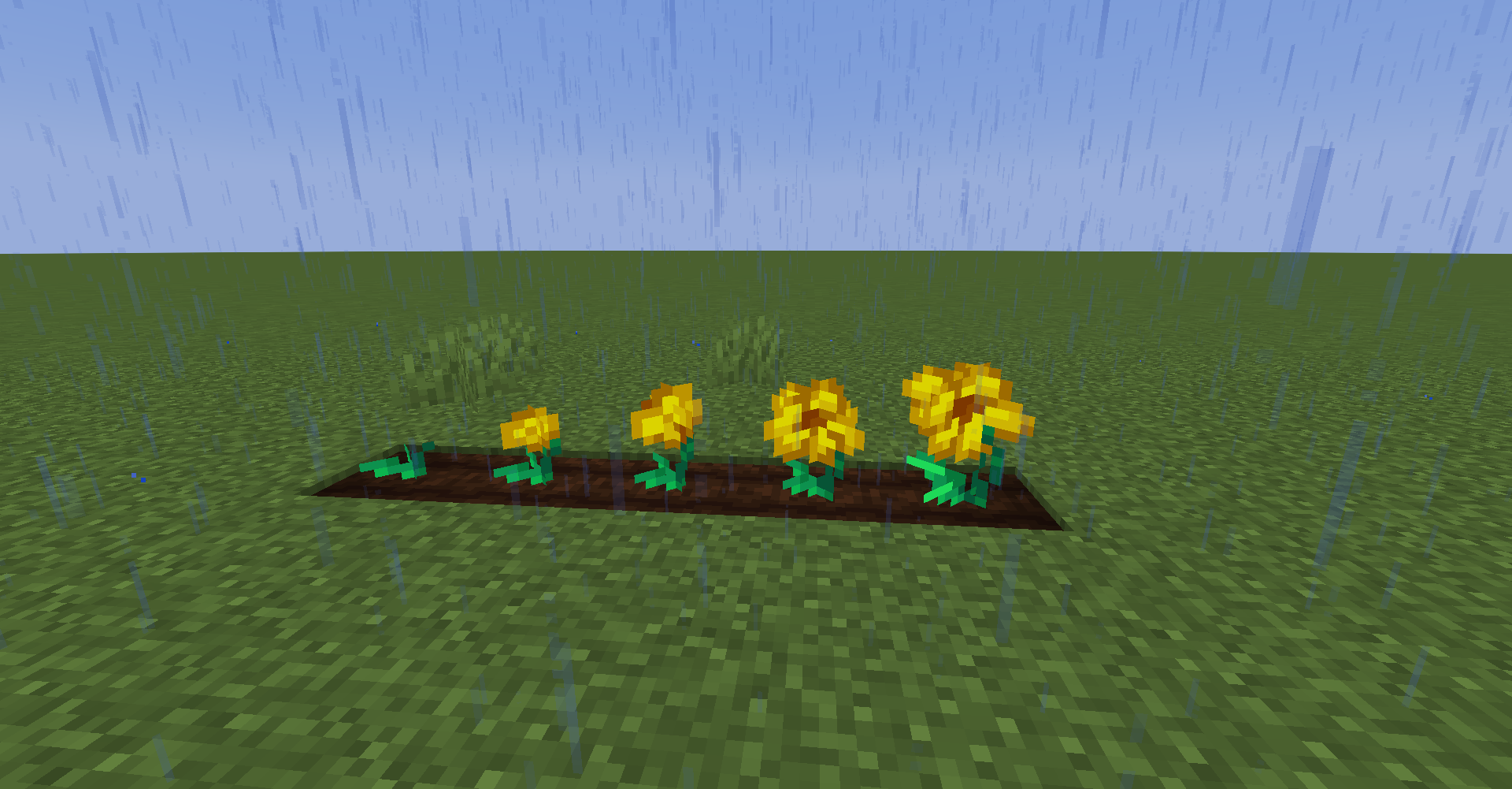 Golden Flowers