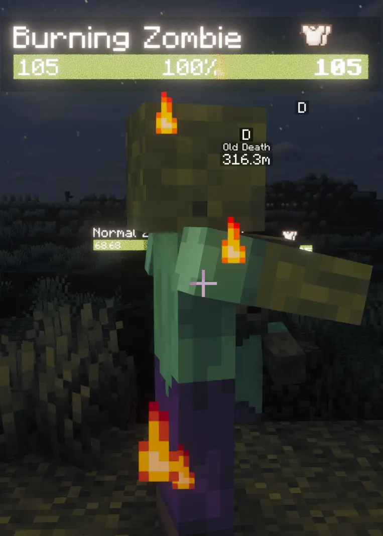 burning zombie(about 100days after)