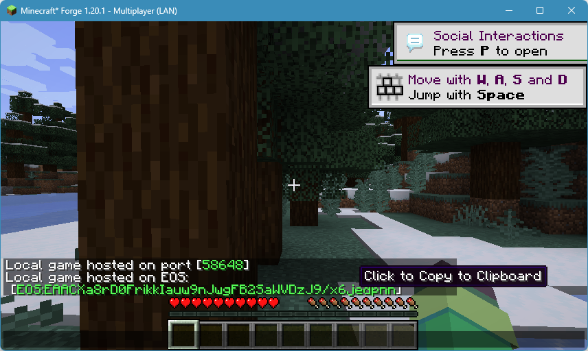 Connection address in chatbox after Open to LAN