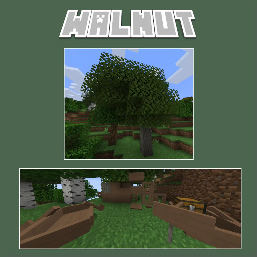 Walnut