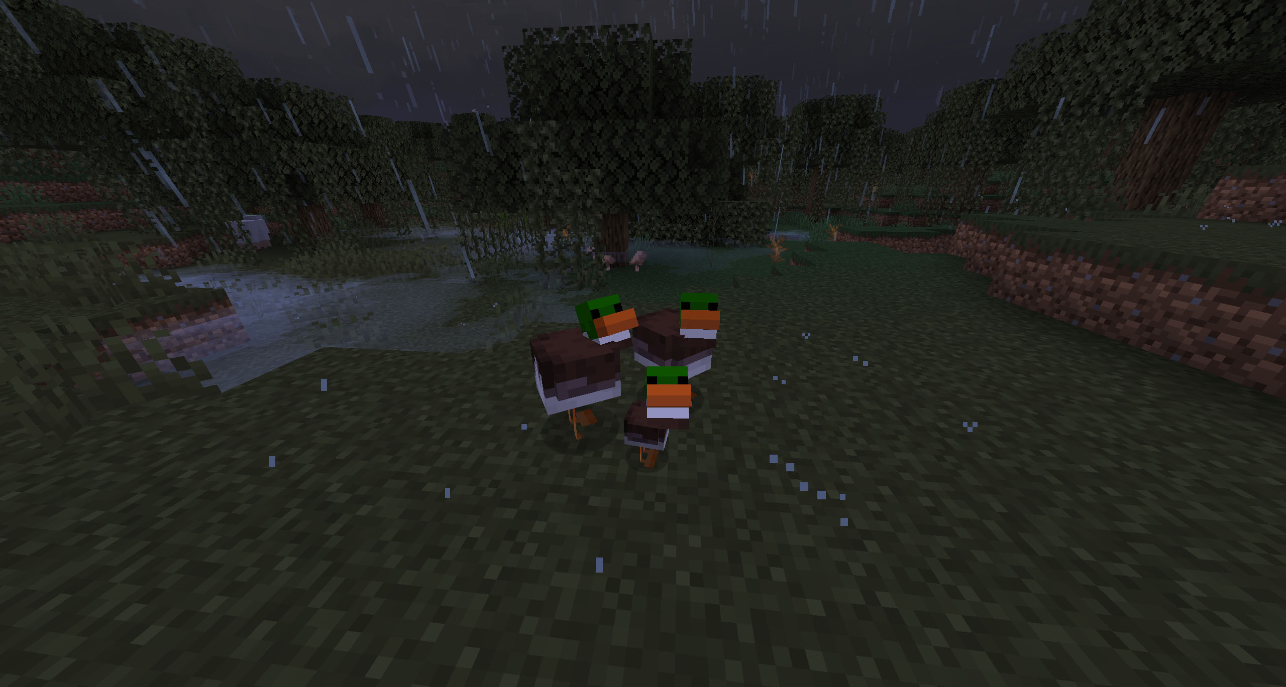 A Family of Ducks in a Swamp