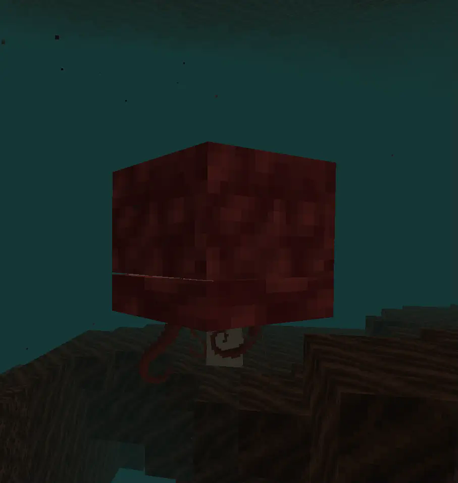 Red Bloodcell