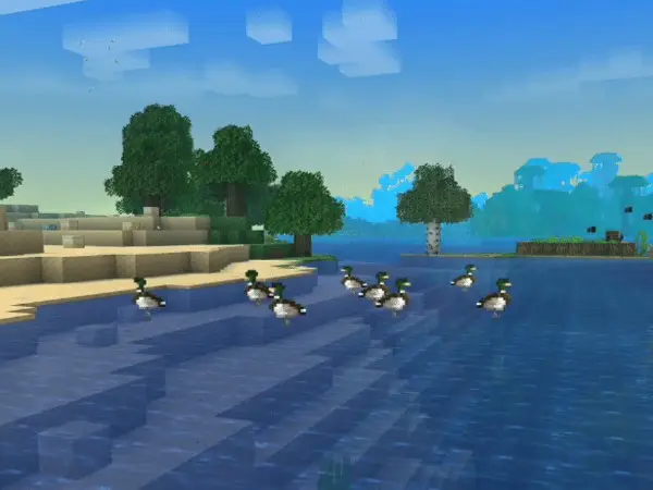 Ducks sitting in a lake