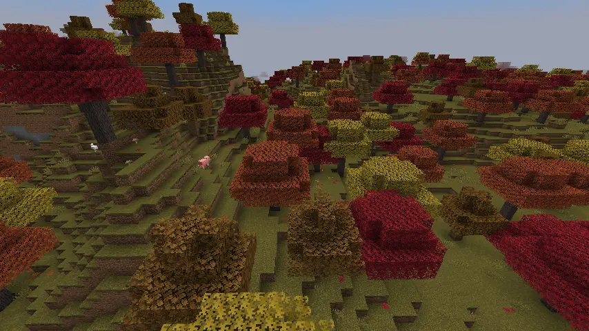 Maple Forest