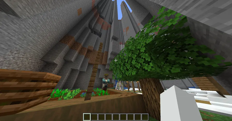 Village
