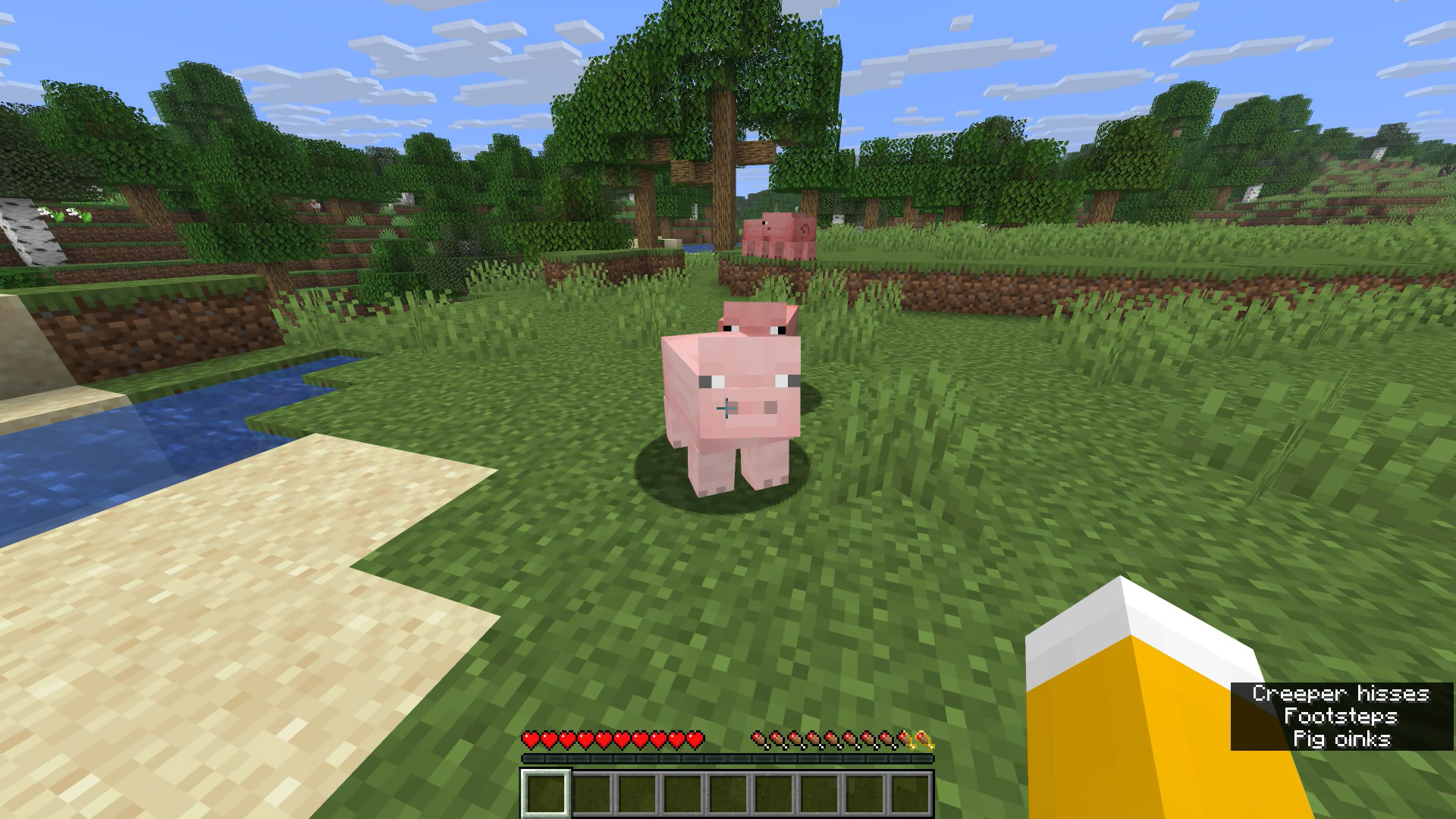 A pig that is about to explode