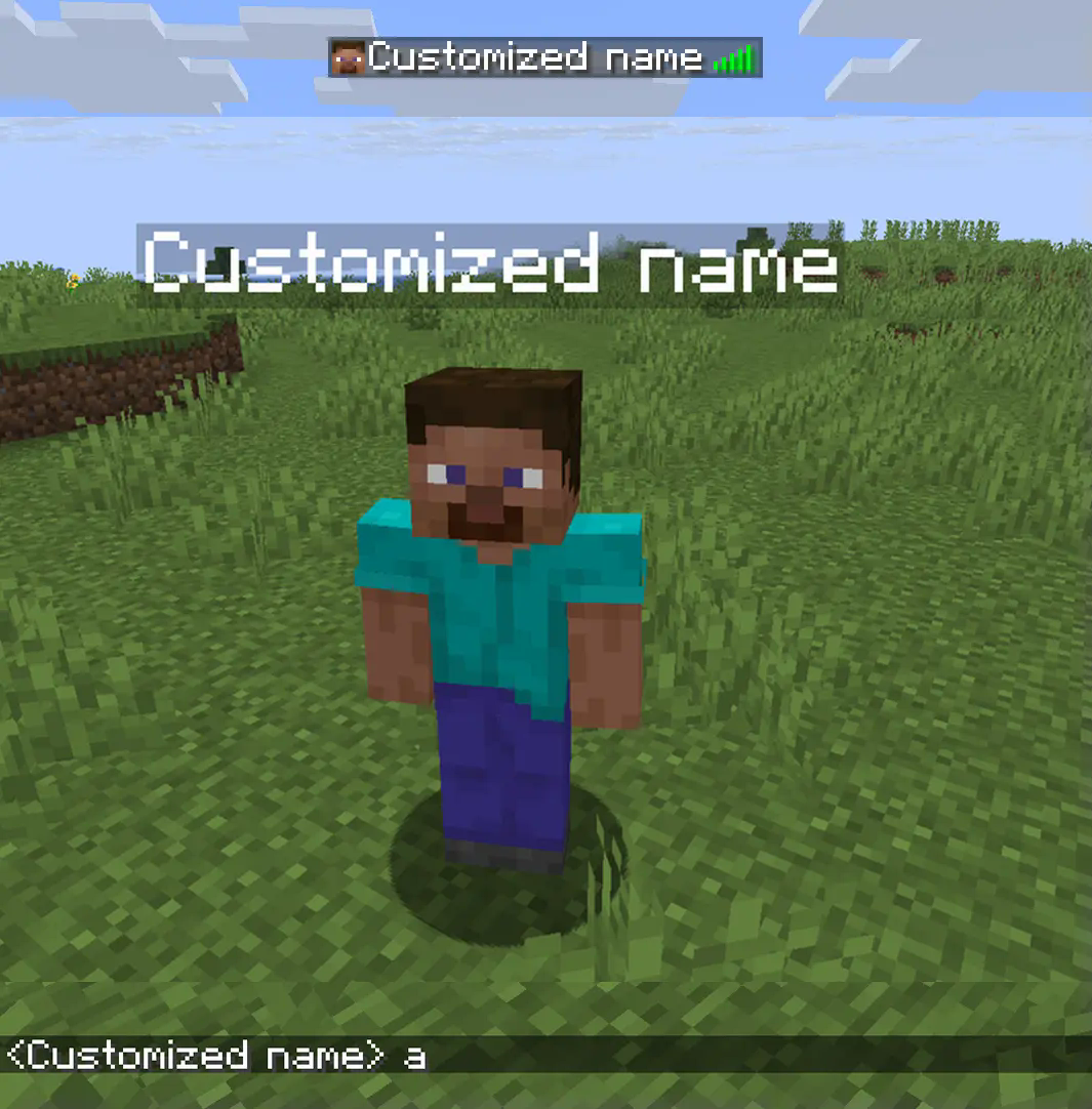 A screenshot showing the player's name changed to 'Customized name'.