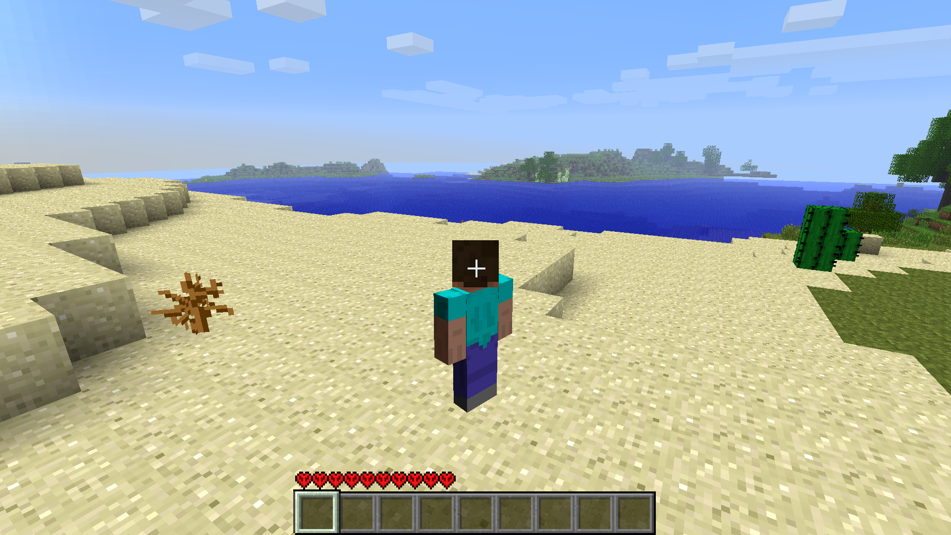 Ingame screenshot
