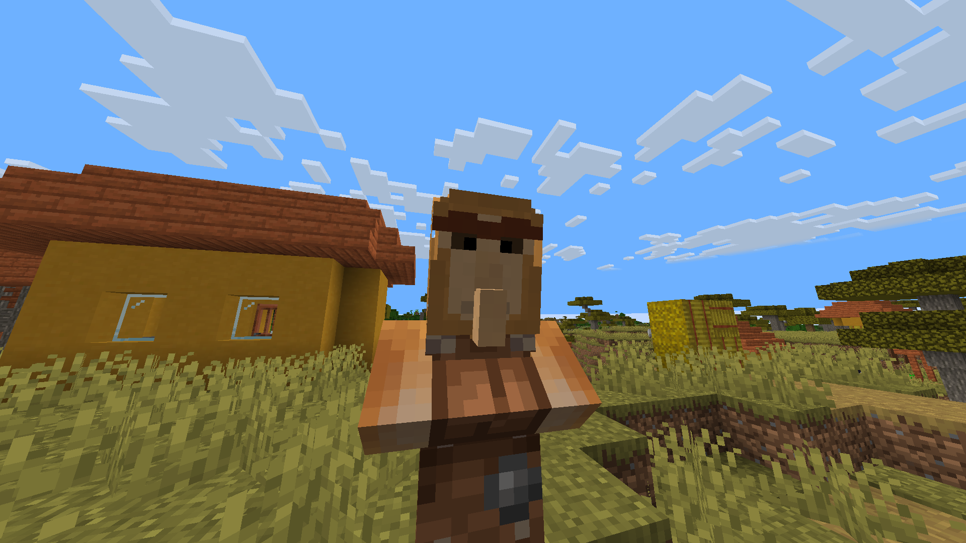 Proboscis Monkey Villager