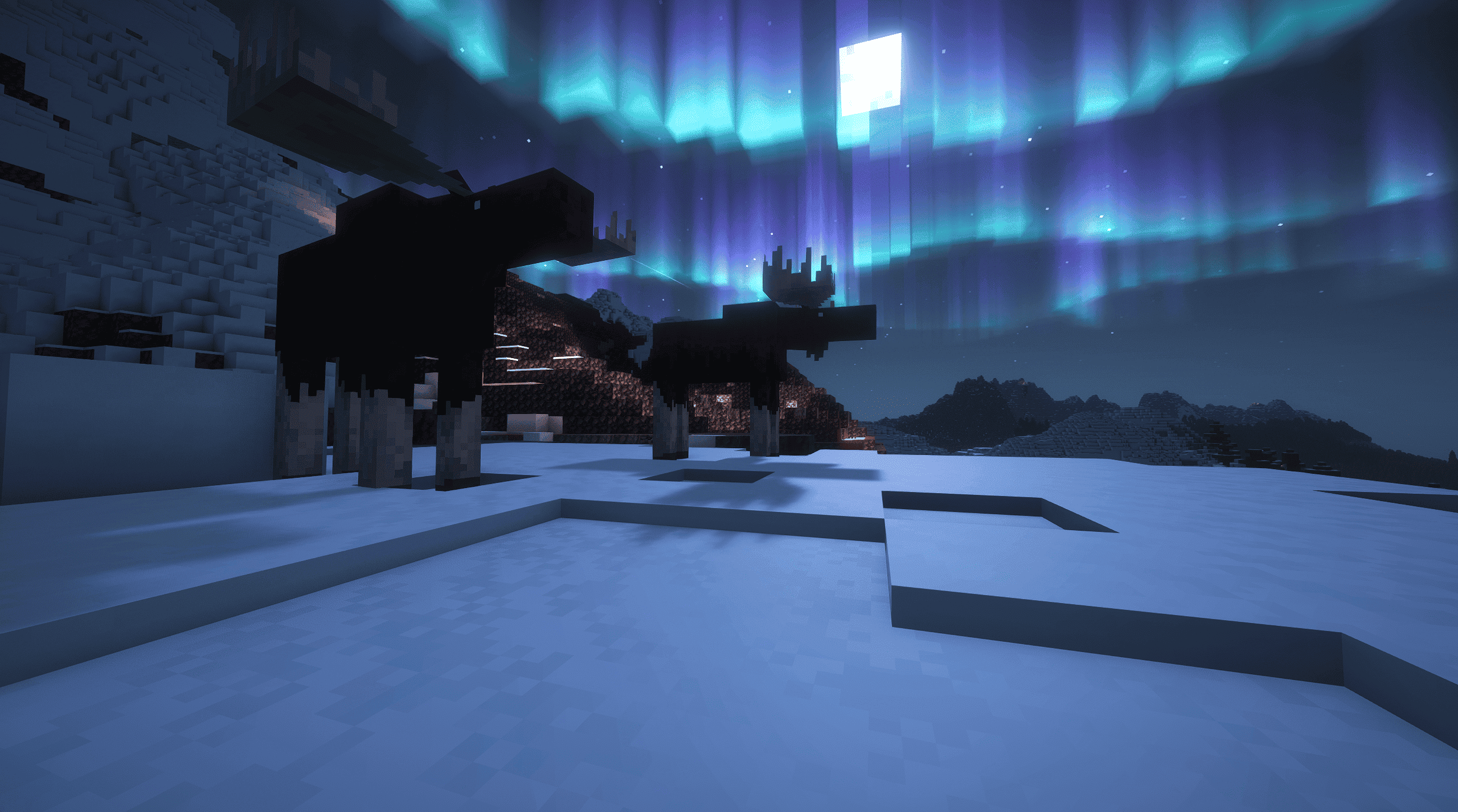 Meese Enjoying the Aurora