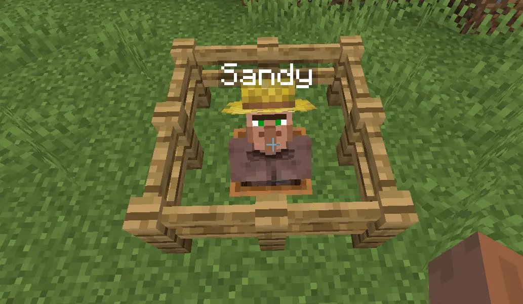 villager nema