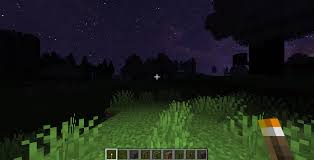 player holding a torch that is lighting up the surroundings