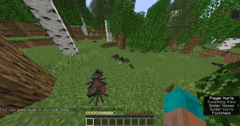 Spiders Reality Climbing