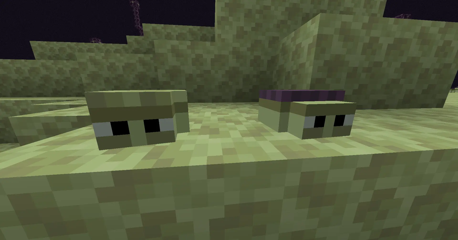 A Cloakmite and a Shulkermite