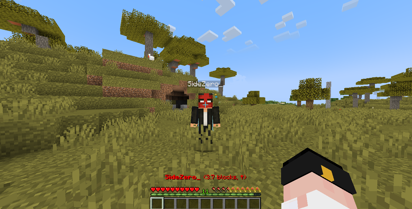 A player being detected through the mod, It shows the Name, Distance, Direction.