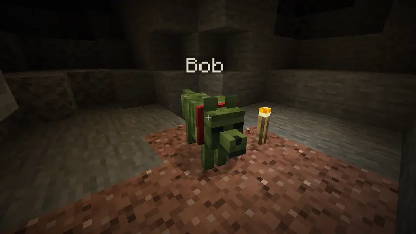 Bob.