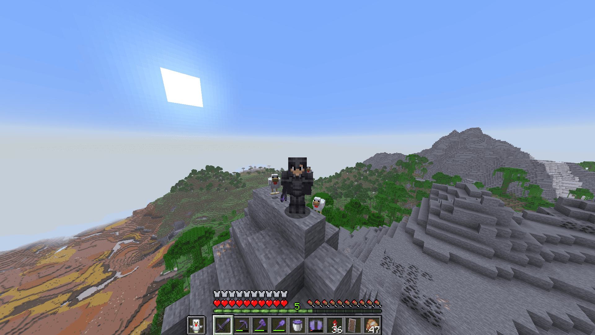 Showcase of the resource pack: a player in 2nd person view holding a Chicken of Undying