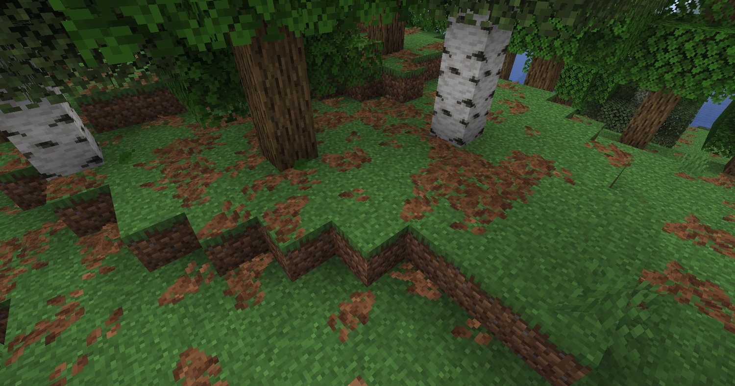 Tinted leaf litter in a forest