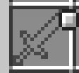 Curious Back Slot