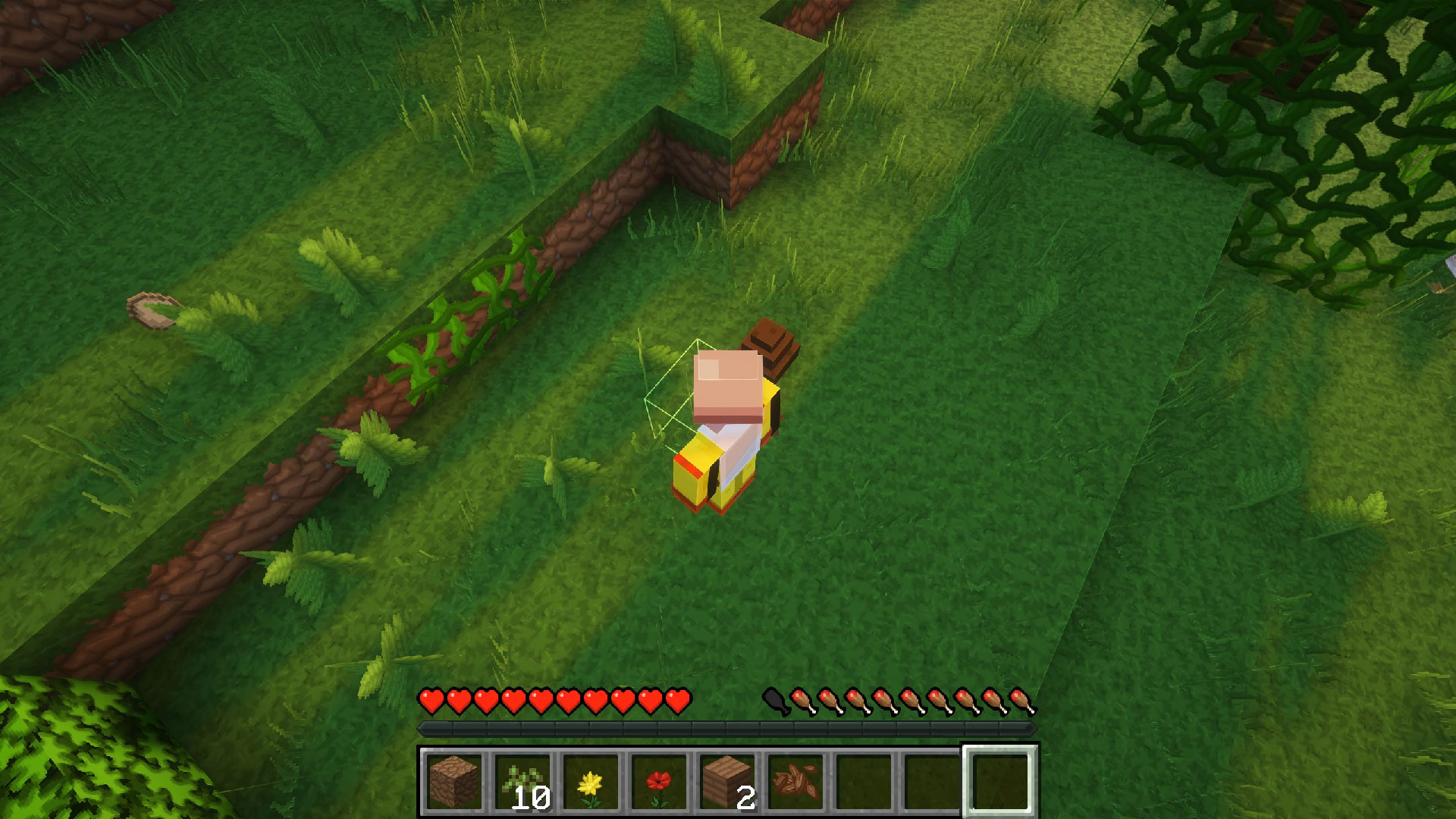 The player character finds himself in front of a turd that has just been generated by this mod.