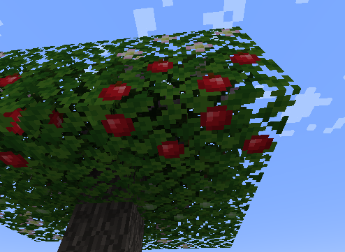 Bottom Texture