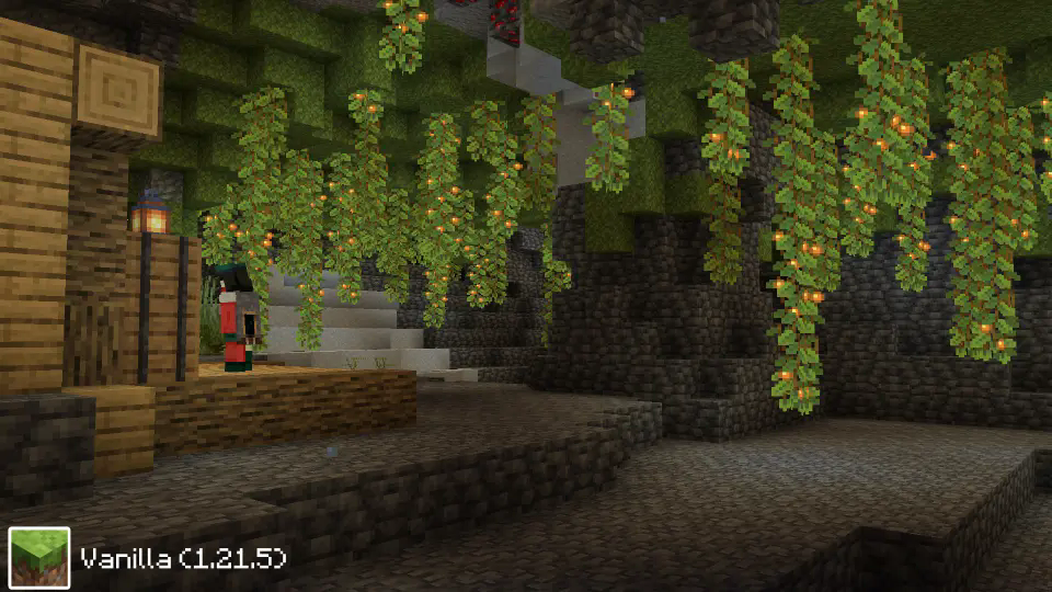 Vanilla Cave Vines Plant