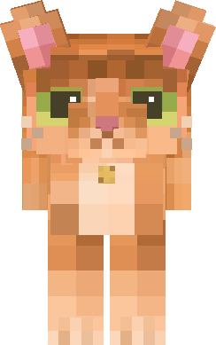An orange cat