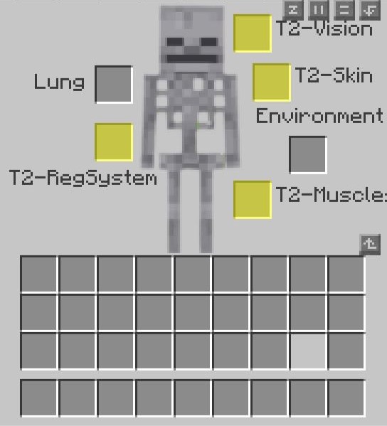 Nano Augmentation Interface