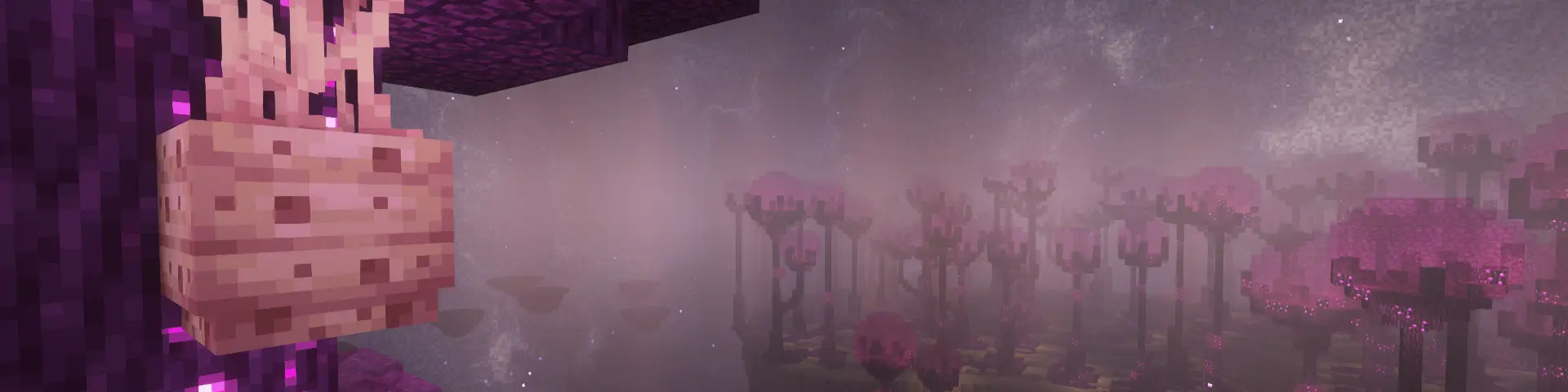 Poise Forest with the Enderscape Nebula in the sky