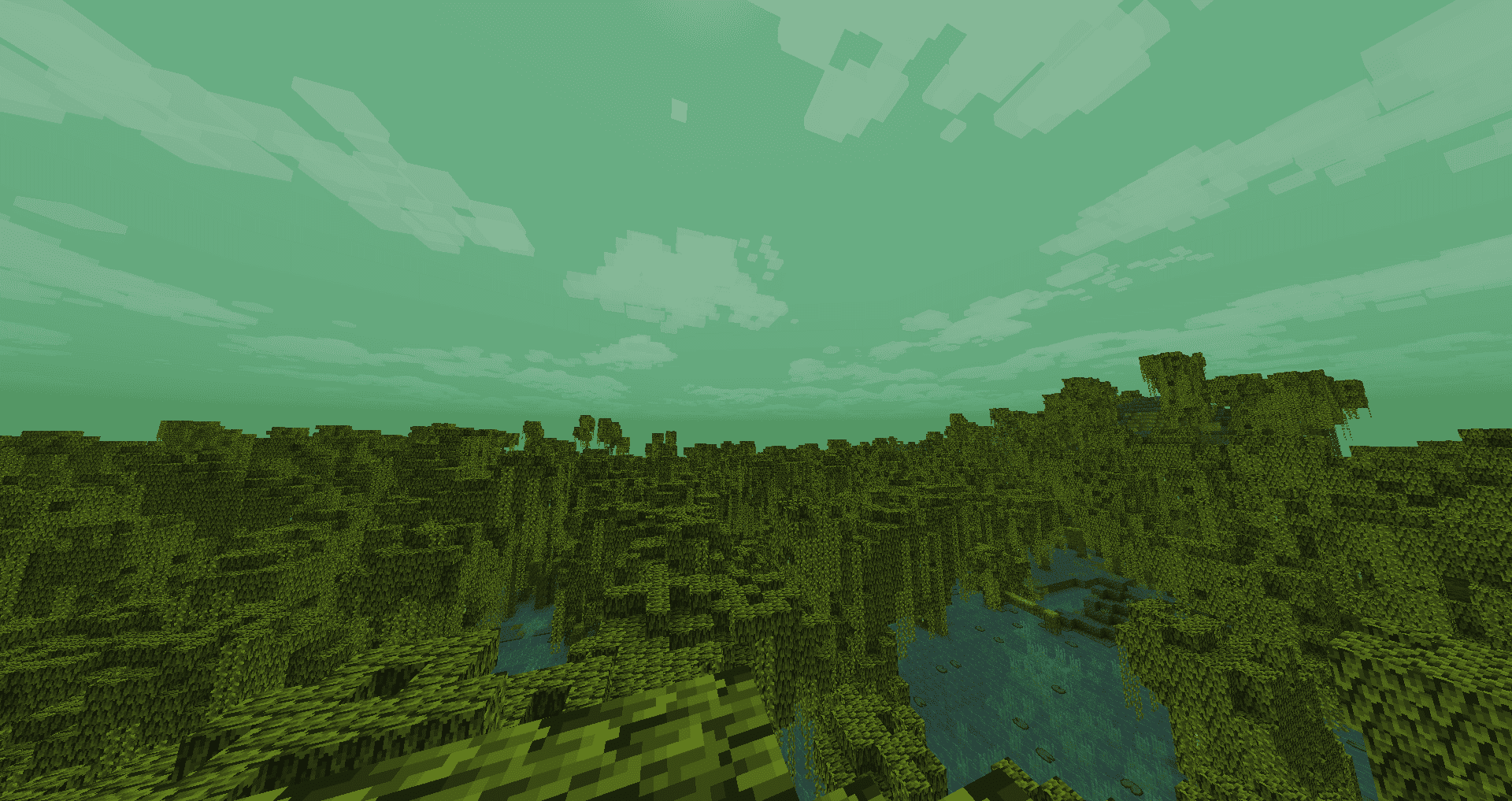 Mangrove Swamp