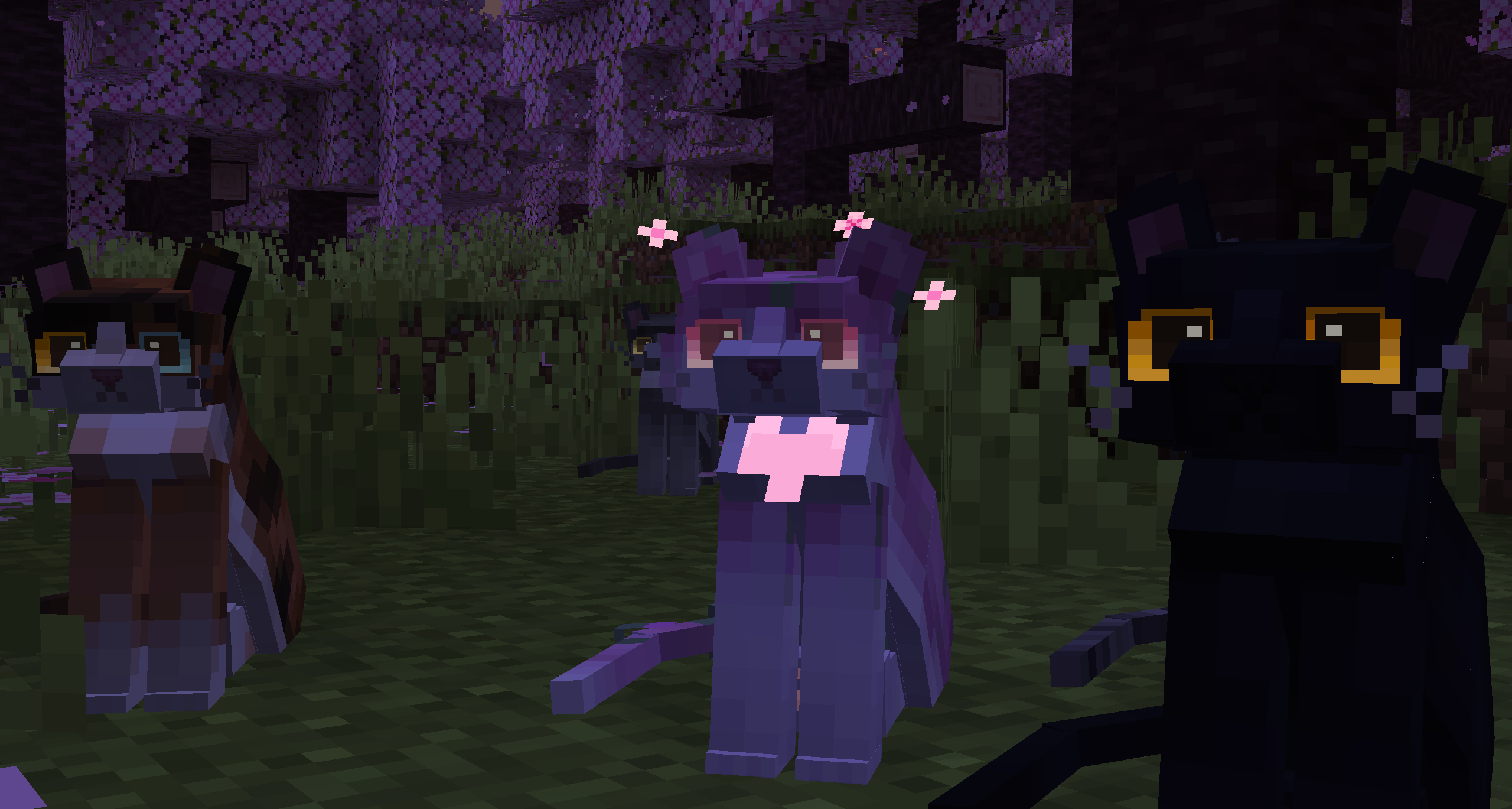 moss blossom and black and calico cat