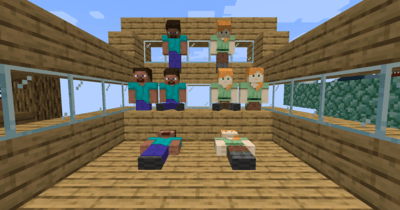 Players