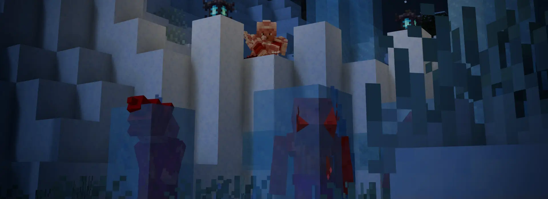 frozen environment picture